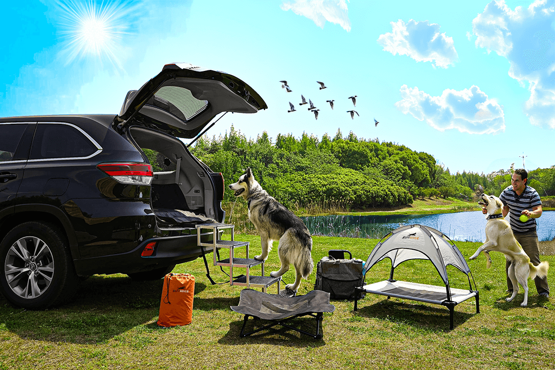 Dog riding comfortably in car with RuffRover seat cover