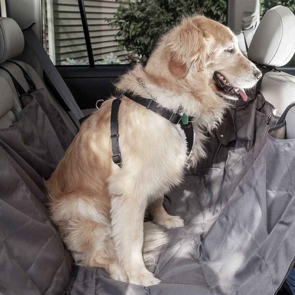 RuffRover 2.0 Hard Bottom Dog Car Seat Protector