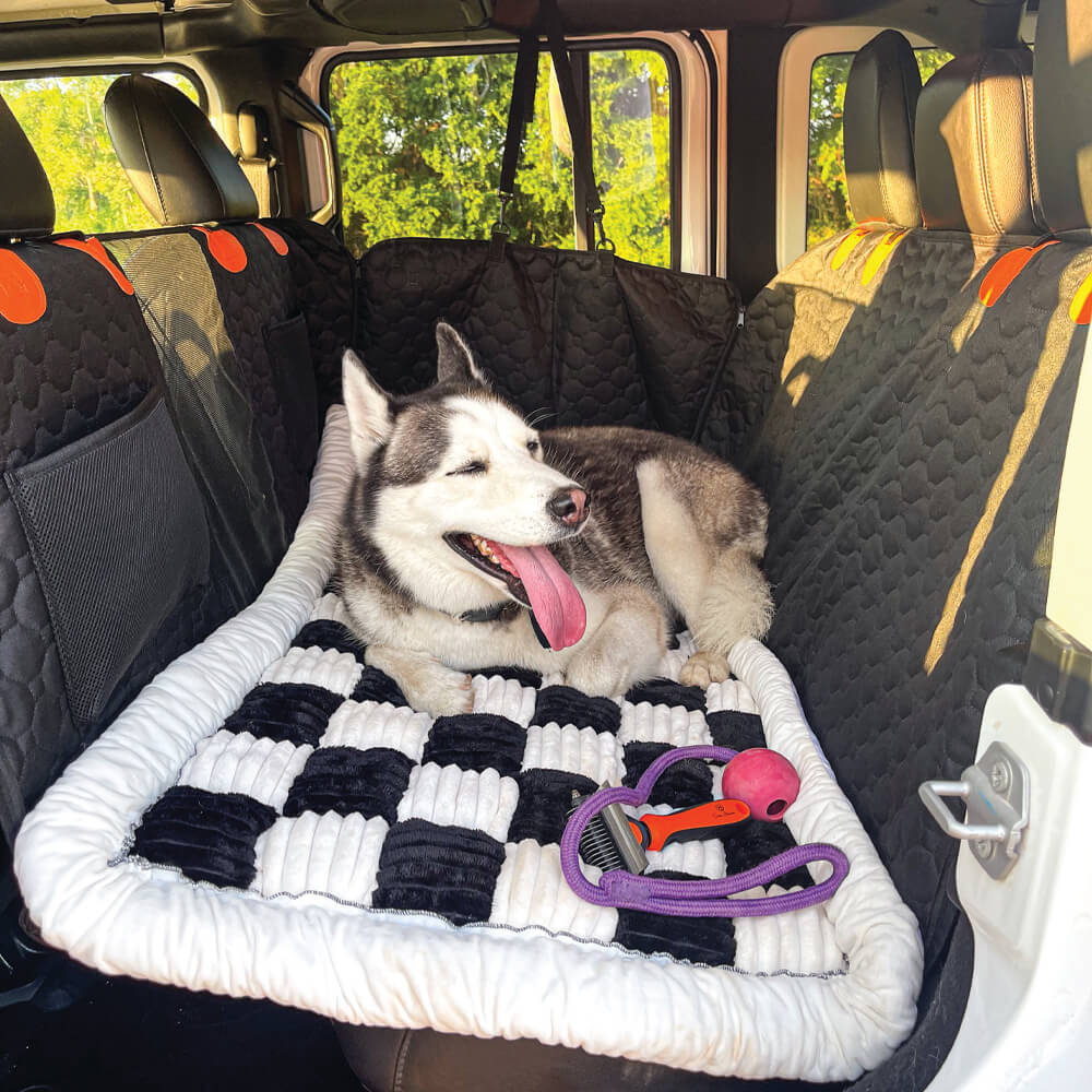 Dog in RuffRover seat